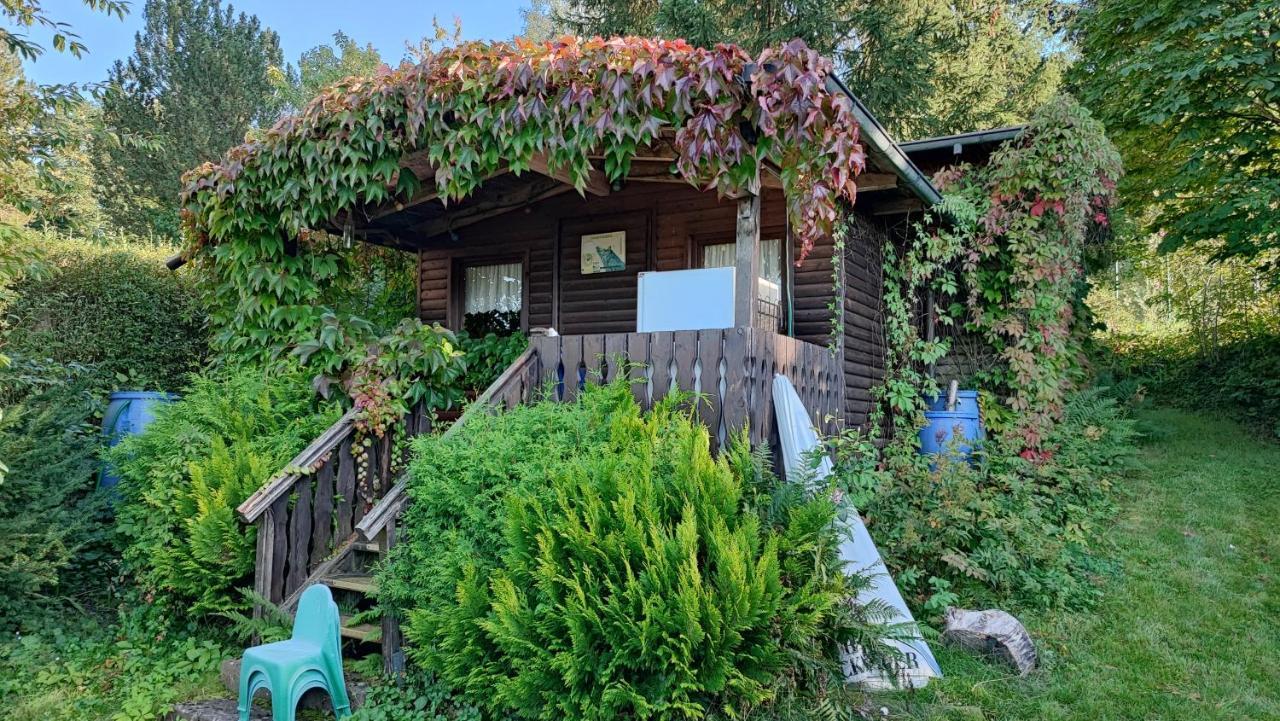 Cafe Pension Sonnenkanzel Staatsbad Brückenau Exteriör bild